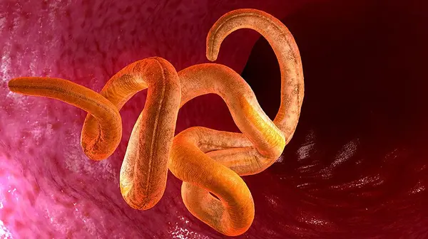 Реальные истории пациентов