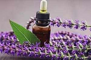 Масло шалфея