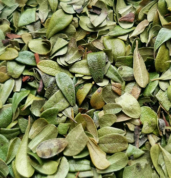 Иконка или изображение прополиса