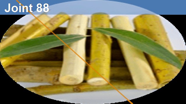 Сергей Михайлович Бубновский