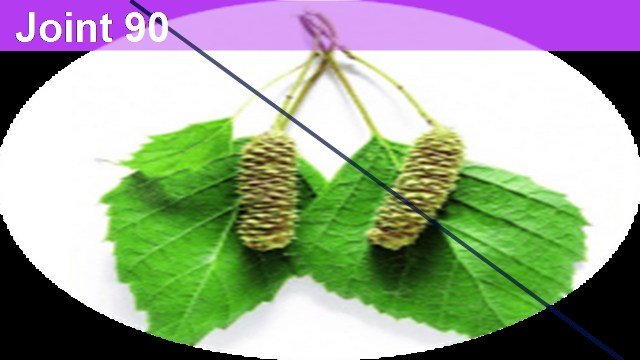 героиня интервью и Ника Эгадзе на Олимпиаде 2026