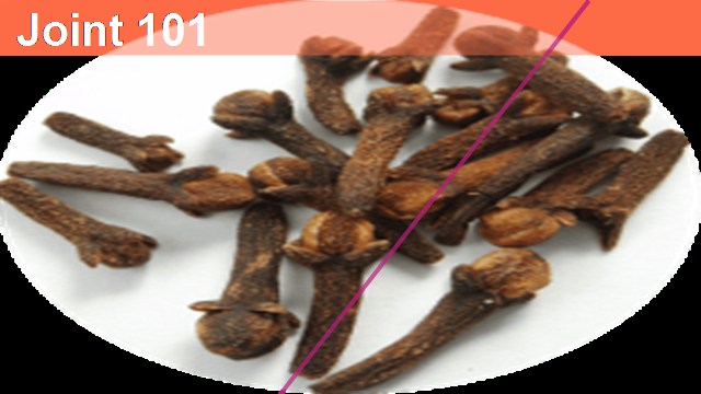 героиня интервью и ученица команды на Олимпиаде