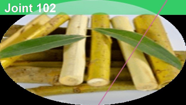 Алексей Зимин