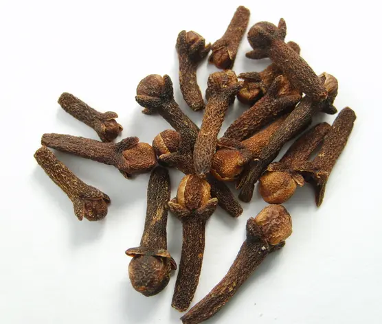 Экстракт камфоры